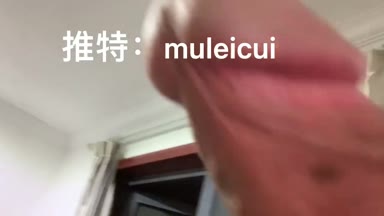 @muleicui