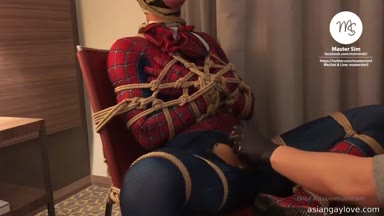 @mastersim