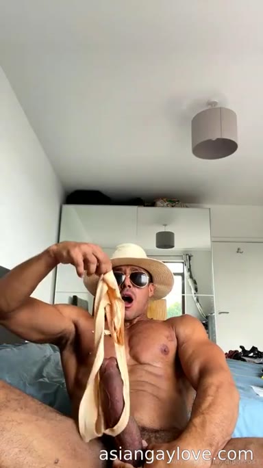 @dibarros1