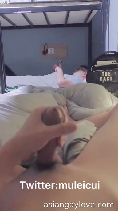 @muleicui