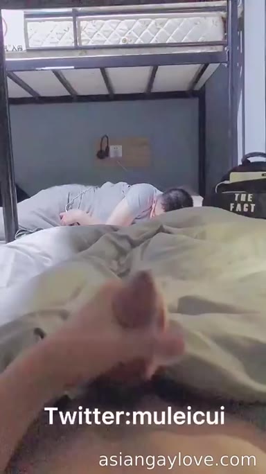 @muleicui