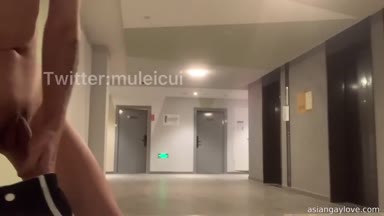 @muleicui