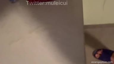 @muleicui