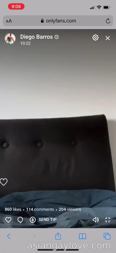 @dibarros1