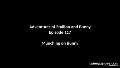 @stallion_bunny