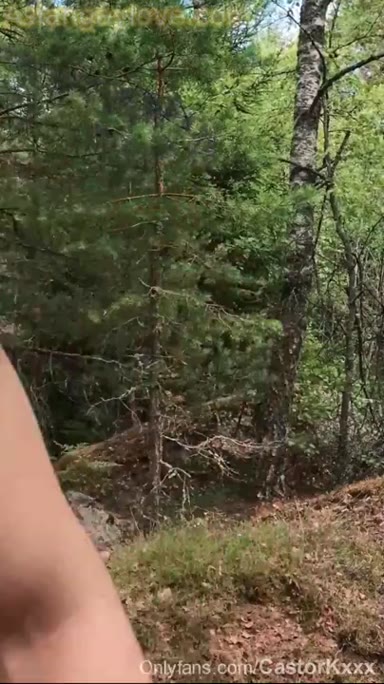 @castorkxxx
