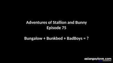 @stallion_bunny