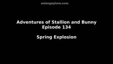 @stallion_bunny