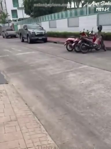 @vincenthong