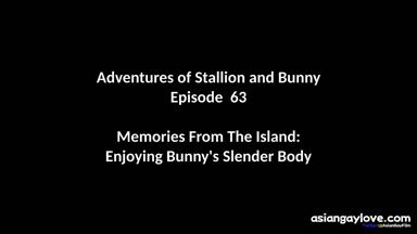 @stallion_bunny