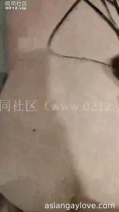 China_bear
