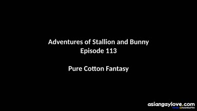 @stallion_bunny