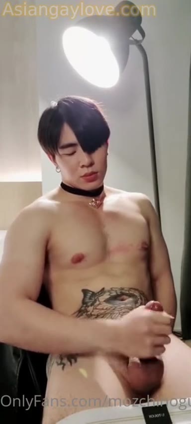 Asian_Gay_Fuck_Collection