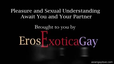 Eros_Exotica_Gay