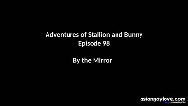 @stallion_bunny