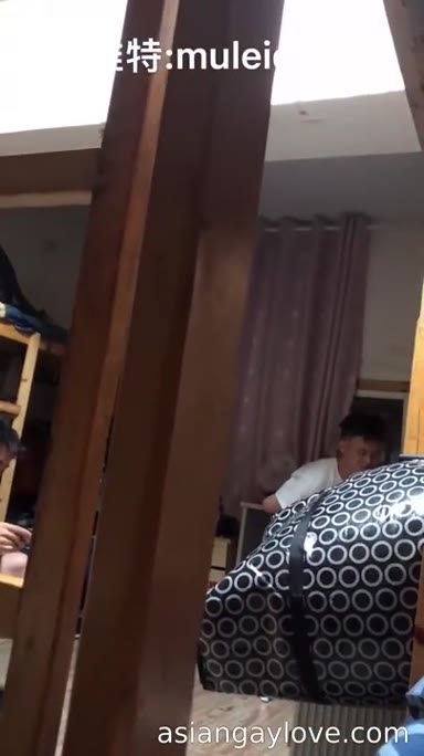 @muleicui