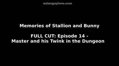 @stallion_bunny
