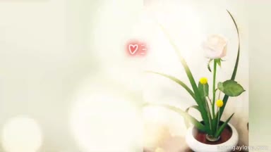 @q0987562538