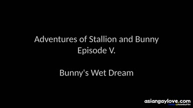 @stallion_bunny