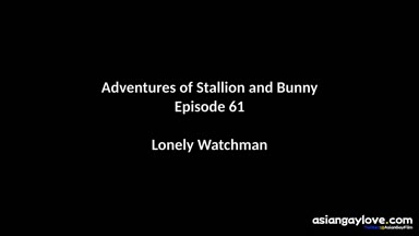 @stallion_bunny