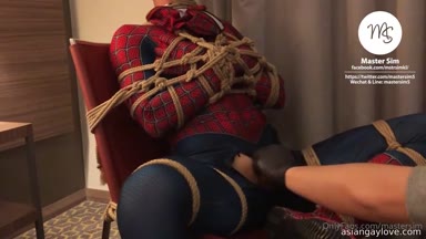 @mastersim