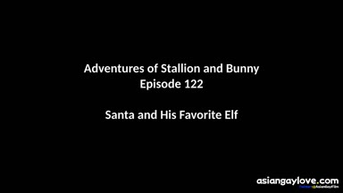 @stallion_bunny