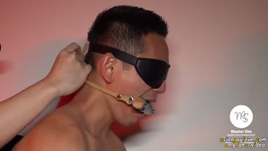 @mastersim