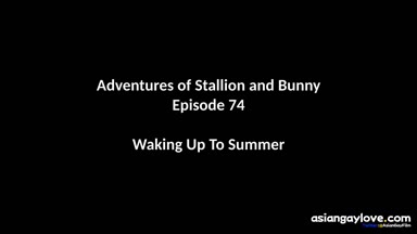 @stallion_bunny