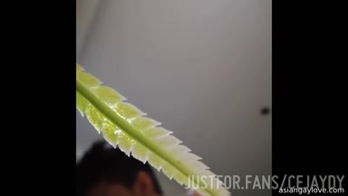 CEJAYDY