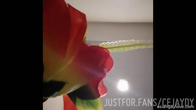CEJAYDY