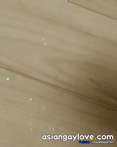 @shin_tro
