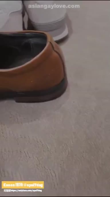 @spa17dog