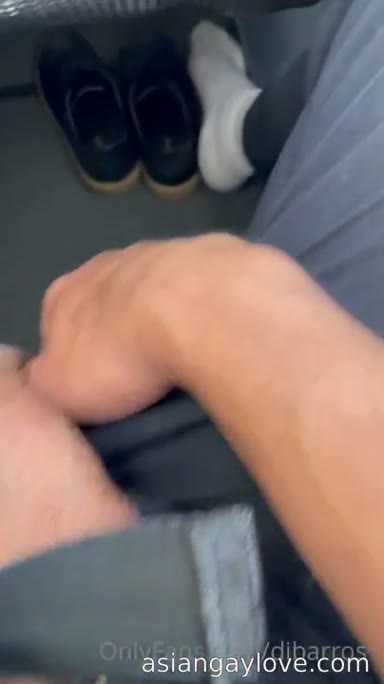 @dibarros1