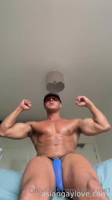 @dibarros1