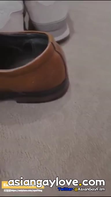 @spa17dog