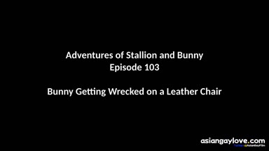 @stallion_bunny
