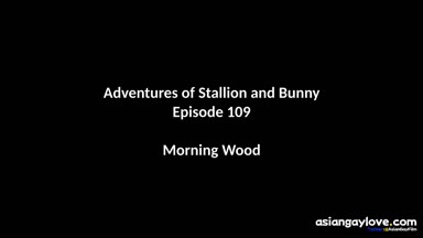 @stallion_bunny
