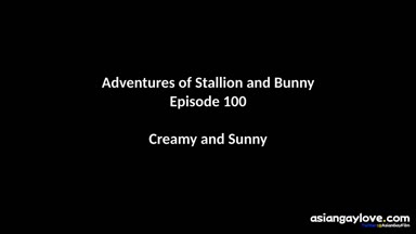 @stallion_bunny