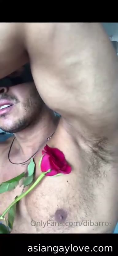 @dibarros1