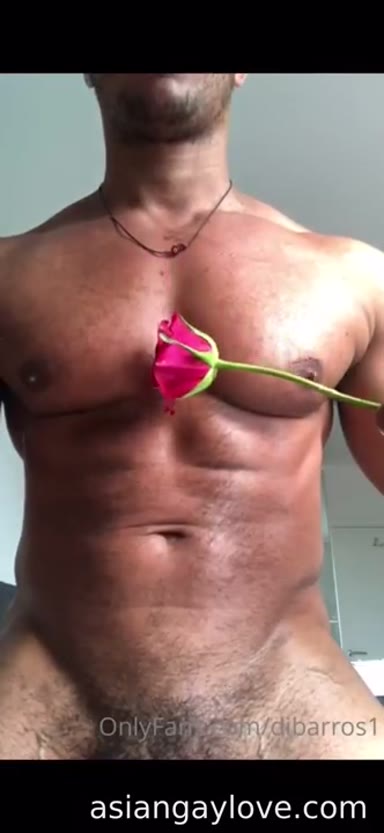 @dibarros1