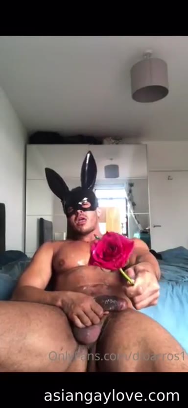 @dibarros1