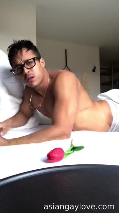 @dibarros1