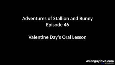 @stallion_bunny