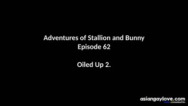@stallion_bunny