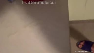 @muleicui