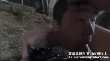 @stallion_bunny