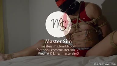 @mastersim