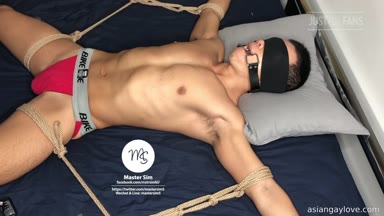 @mastersim