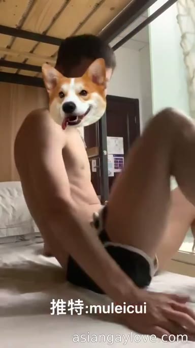 @muleicui