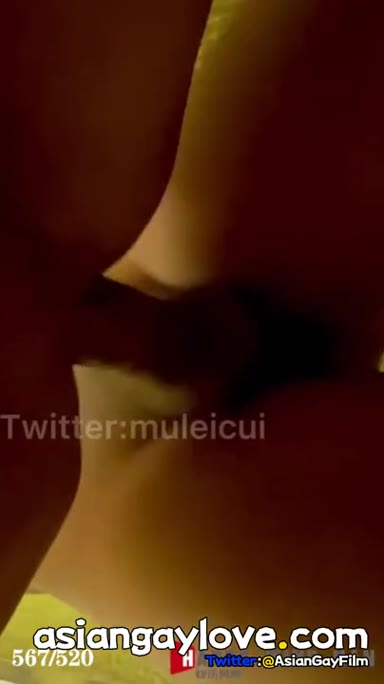 @muleicui